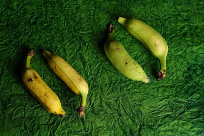 High angle view of fruits on green leaf