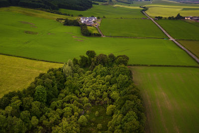 High angle view of agricultural field