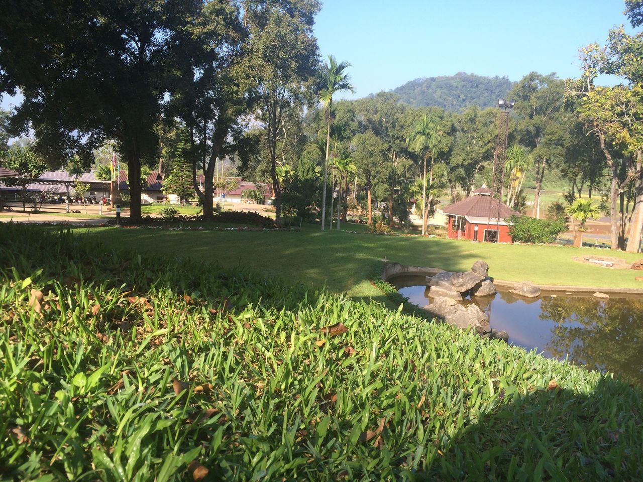 สถานีเกษตรหลวงปางดะ (The Royal Agricultural Station PANG DA )