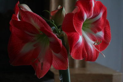 red