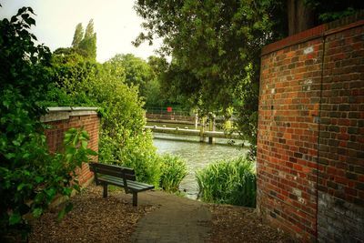 Empty bench by footpath in park