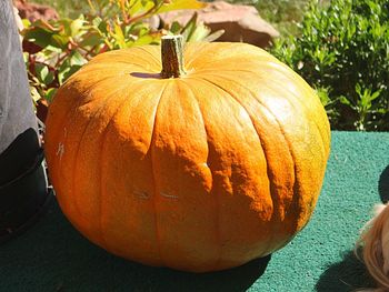 Close-up of pumpkins