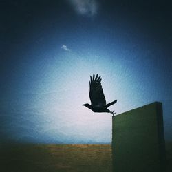 Low angle view of birds against sky