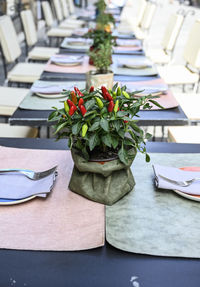 Plates and decorations on table