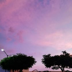 Low angle view of silhouette trees against sky at sunset