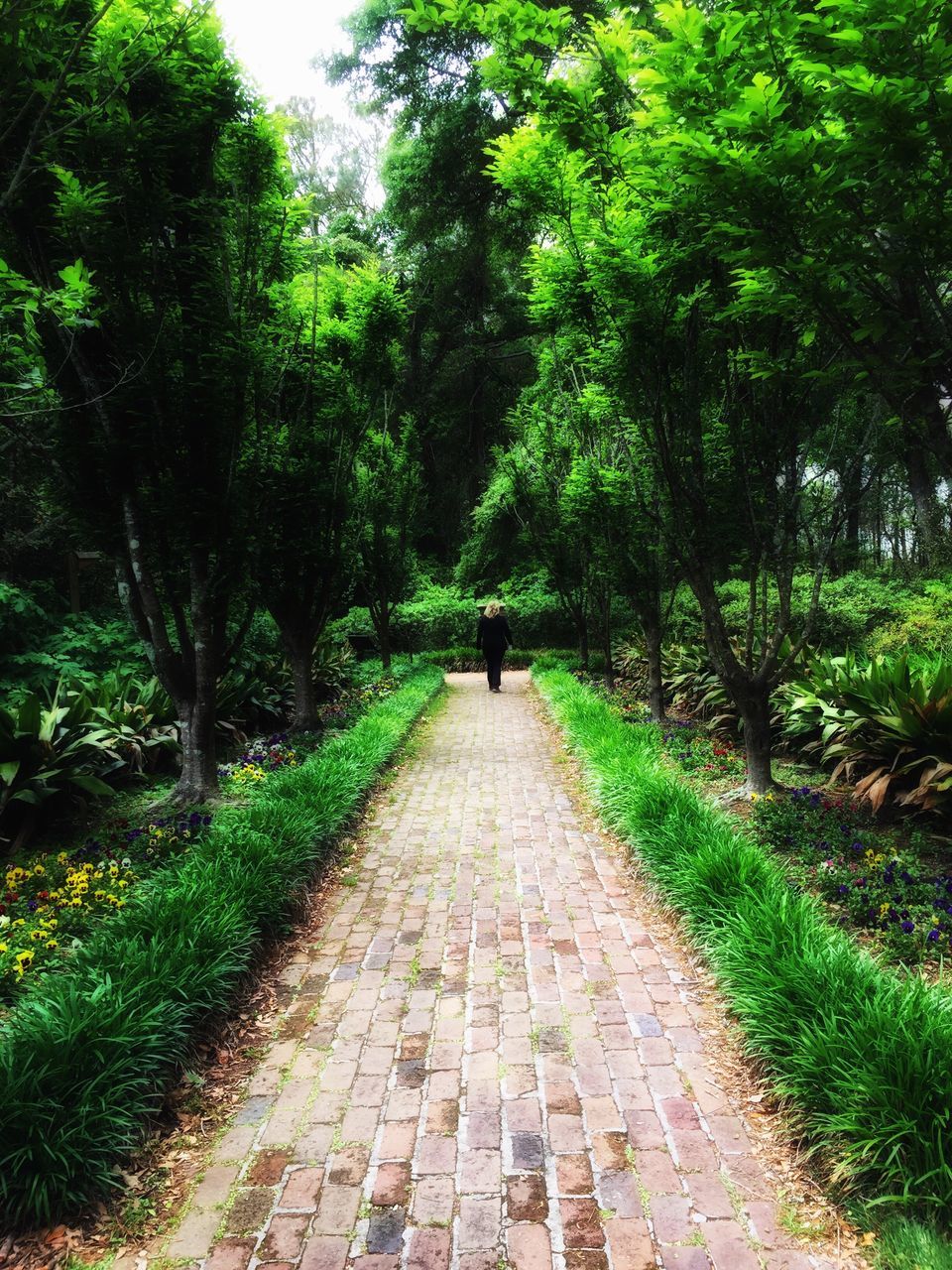 plant, tree, direction, footpath, the way forward, growth, nature, green color, forest, day, real people, walking, outdoors, rear view, beauty in nature, people, full length, park, land, paving stone