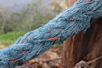 Close-up of rope against blurred background