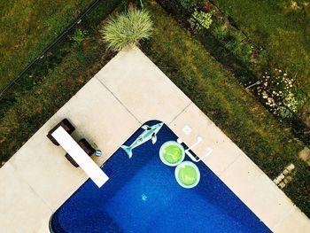 High angle view of green ball and plants in park