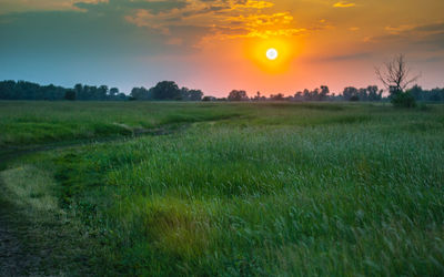 Scenic view of field against sky during sunset