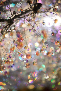 Low angle view of christmas decorations hanging on tree