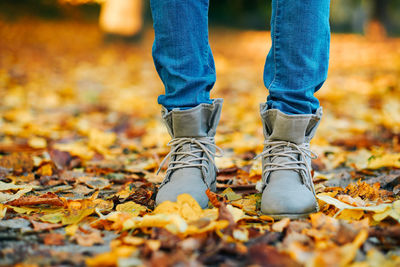 Low section of person standing on autumn leaves