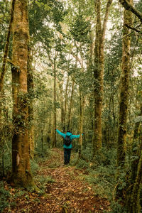 Rear view of man walking in forest