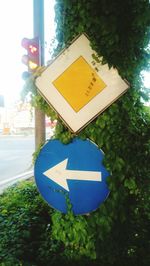 Close-up of road sign against trees