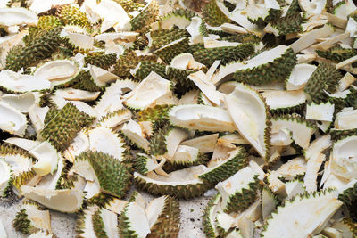 Full frame shot of white leaves