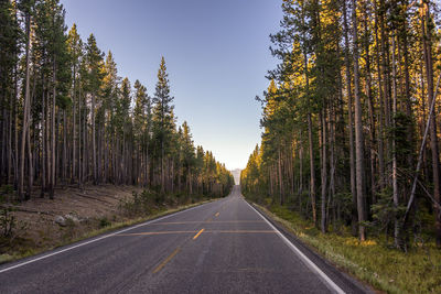 Road amidst trees against sky