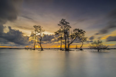 Scenic view of lake against sky during sunset