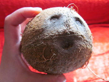 Close-up of cropped hand