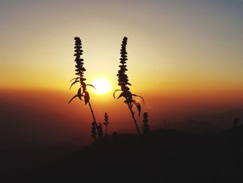 Silhouette landscape against orange sky