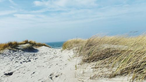 Scenic view of beach against sky