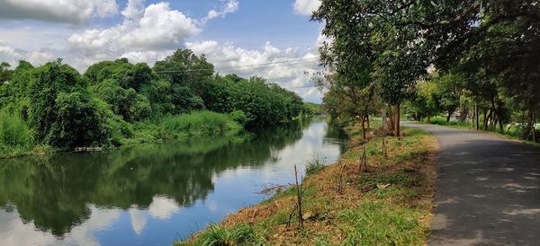 Scenic view of lake by trees against sky