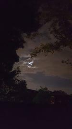 Low angle view of silhouette trees against sky at night