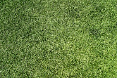 Full frame shot of soccer field