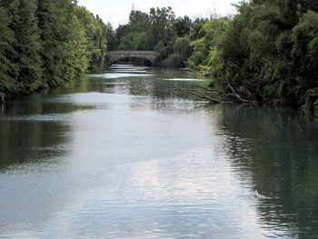 Scenic view of river in forest against sky