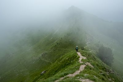 Rear view of man standing on rock