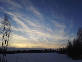 Silhouette trees against sky during winter