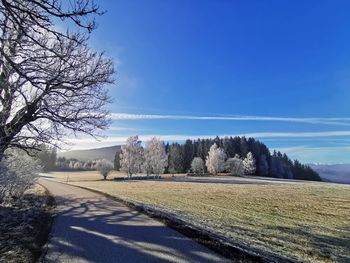 Road by trees on field against blue sky