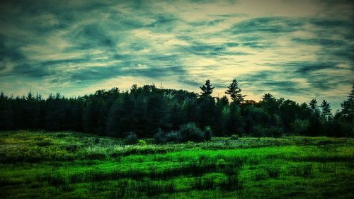 Scenic view of grassy field against cloudy sky