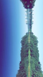 Low angle view of trees against clear blue sky