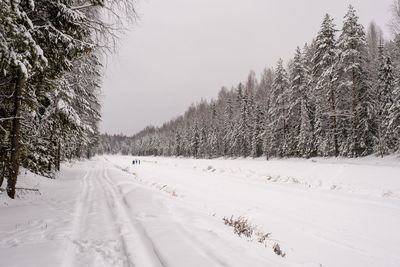 Snow covered land against sky