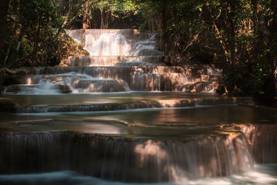 Waterfall in forest