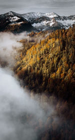Season change between autumn and winter in the mountains with forest and fog