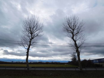 Low angle view of bare tree against sky