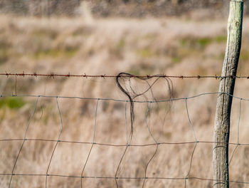 View of barbed wire fence