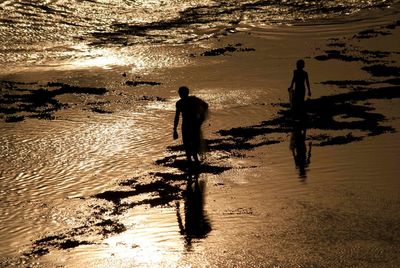 Scenic view of sea at sunset