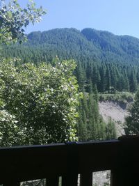 Scenic view of tree mountains against clear sky