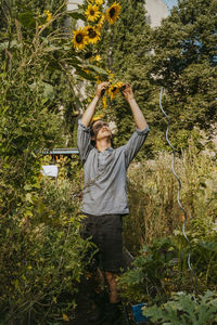 Young male environmentalist picking flowers in community garden
