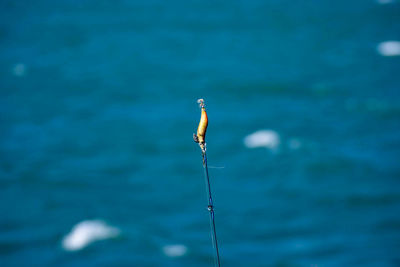 Close-up of fishing rod by sea