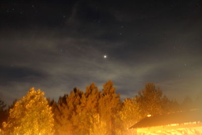 Low angle view of trees against sky at night