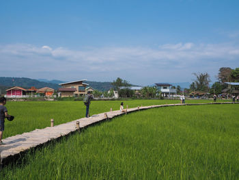 Scenic view of field by houses against sky