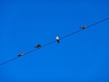 Low angle view of power lines against clear blue sky