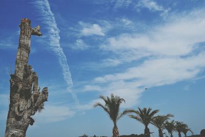 Palm trees against cloudy sky