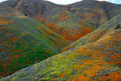 Scenic view of rainbow over mountain during autumn