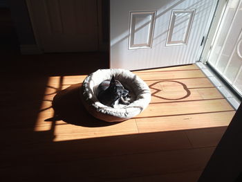 High angle view of a cat lying on floor