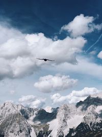 Bird flying over snowcapped mountain against cloudy sky