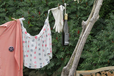 Wine bottle hanging on clothesline against tree