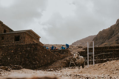 Panoramic view of a building